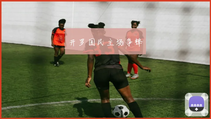 开罗国民主场争锋
