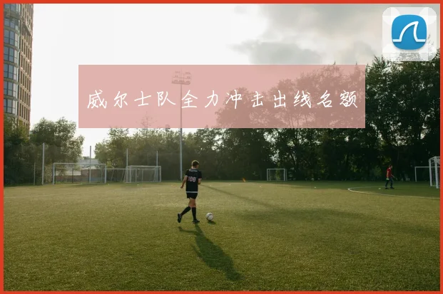 威尔士队全力冲击出线名额