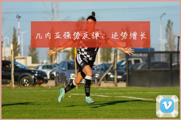 几内亚强势反弹，逆势增长