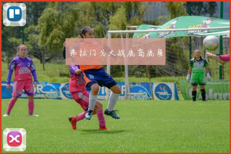 弗拉门戈大战鹿岛鹿角
